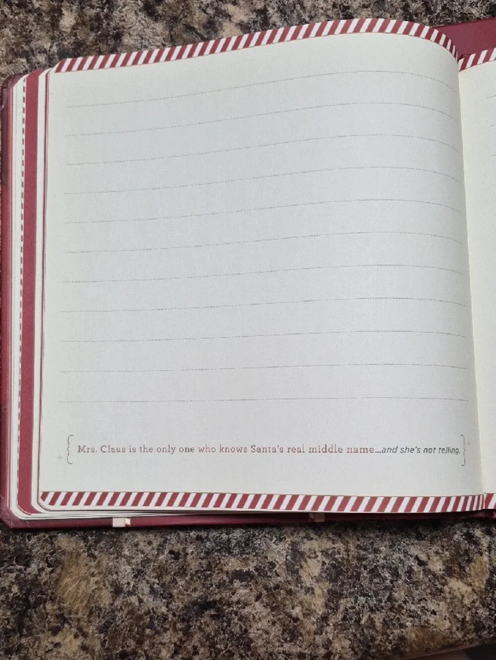 Santa's Kindness Journal